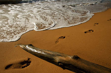 Tropical Hawaiian beach and rolling surf on the island of Kauai