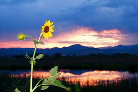 Brilliant rural country sunset on the front range of Colorado USAの写真素材