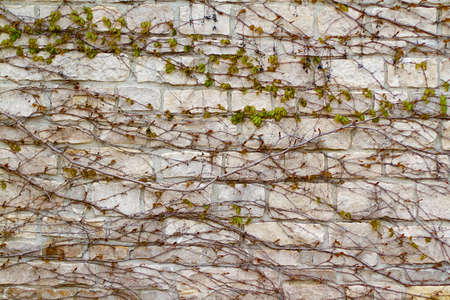 Background Wall Texture of an old section wallの写真素材