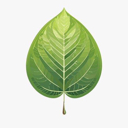 Green leaf. Vector illustration. Isolated on white background. Flat style.のイラスト素材