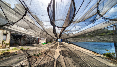 A low-angle perspective shot looking down a long corridor covered by a canopy of black shade netting. Sunlight filters through the mesh, creating a dynamic pattern of light and shadow on the ground below, evoking a sense of journey and transition.の素材