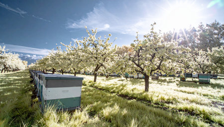 In a surreal, infrared landscape, rows of beehives stand ready amidst a blossoming orchard. This scene captures the critical symbiotic relationship between bees and flowering trees, essential for a bountiful harvest and the production of honey. The ethereal light suggests a world unseen, highlighting the magic of natures processes.の素材