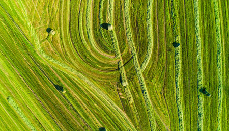 From high above, the landscape transforms into a natural canvas. Sweeping lines and vibrant shades of green create an abstract masterpiece, revealing the beautiful patterns left by agricultural work. A testament to the intersection of nature and human cultivation.の素材