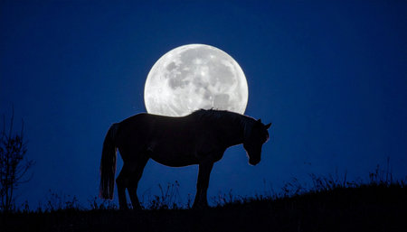 Under the magical light of a supermoon, a majestic horse pauses on a hilltop. This powerful silhouette against the night sky tells a story of tranquility, natures quiet strength, and the untamed spirit of the wild.の素材