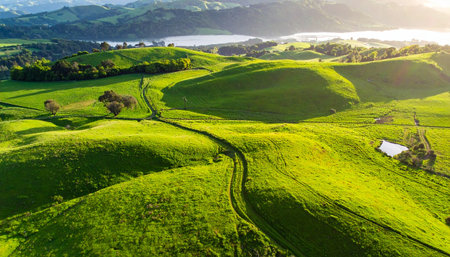 As the sun sets, its golden light bathes the vibrant green rolling hills in a warm glow. An aerial perspective reveals a winding country path leading through the idyllic landscape, inviting a sense of peace, exploration, and the simple beauty of rural life.の素材