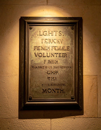A single spotlight illuminates a vintage bronze plaque, casting a warm, dramatic glow on its engraved surface. Mounted on a textured stone wall, this award symbolizes a legacy of honor, recognition, and timeless achievement.の素材