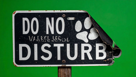 A humorous and weathered Do Not Disturb sign gets a pet-friendly update with a paw print sticker. Set against a vibrant green screen for easy compositing, this image conveys a playful message about privacy, personal space, and the need for uninterrupted rest, whether for humans or their furry friends.の素材