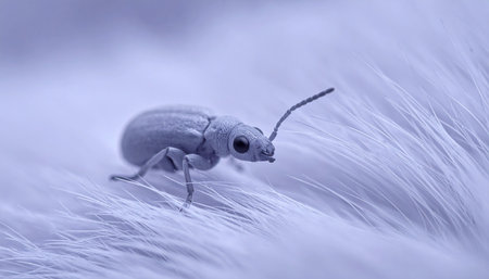 In a serene, dreamlike world of soft textures and pale lavender hues, a tiny weevil embarks on a gentle journey across a delicate feather. This macro perspective captures a moment of quiet discovery and the fragile beauty found in the smallest corners of nature, evoking a sense of peace and wonder.の素材