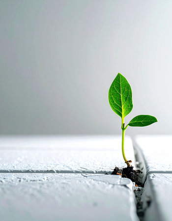 A tiny, vibrant green sprout emerges with determination from a crack in a stark white surface. This powerful image symbolizes resilience, new beginnings, and the unstoppable force of life overcoming obstacles to find a path to growth and success.の素材