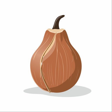 A single, fresh brown onion, illustrated in a clean vector style, sits ready to be chopped.のイラスト素材
