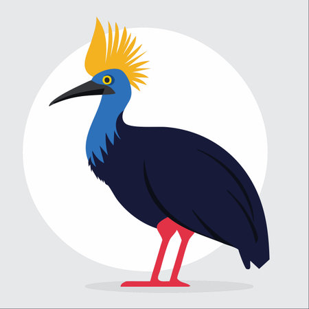 A striking vector illustration of a cassowary, showcasing its vibrant blue neck, prominent yellow casque, and powerful red legs.のイラスト素材