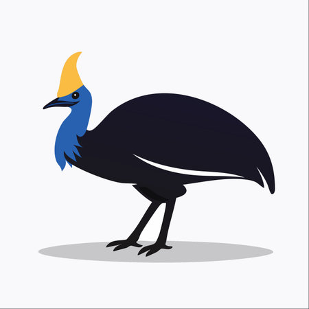 A clean and modern vector illustration of a cassowary, a large, flightless bird native to Australia and New Guinea.のイラスト素材