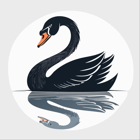 An elegant black swan glides gracefully across a tranquil surface, its perfect reflection mirroring its serene beauty.のイラスト素材