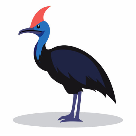 A striking vector illustration of a Southern Cassowary, standing proudly.のイラスト素材