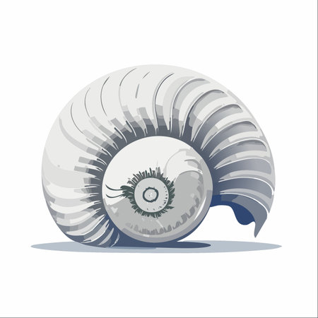 A beautifully rendered illustration of a spiral seashell, showcasing the perfect, natural geometry found in marine life.のイラスト素材