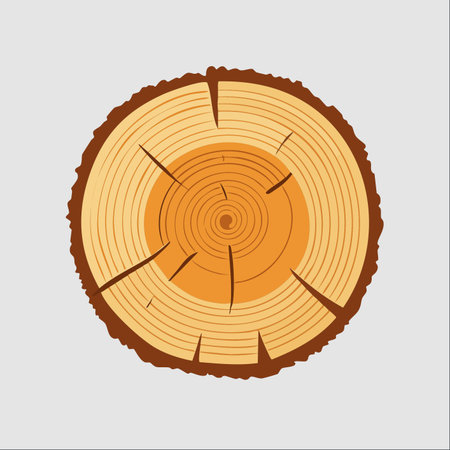 A detailed illustration showing the life story of a tree, captured in its annual growth rings.のイラスト素材