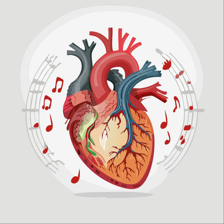 A creative vector illustration of an anatomical human heart surrounded by flowing musical notes.のイラスト素材