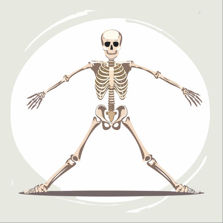 This illustration humorously depicts a human skeleton finding its inner peace and flexibility through yoga.のイラスト素材
