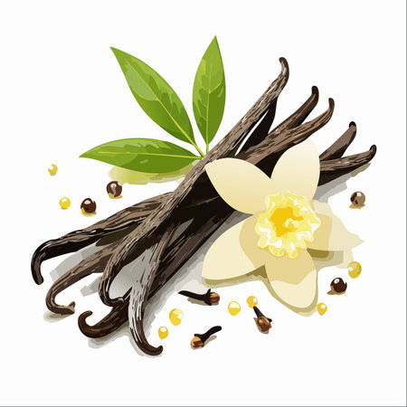 A beautiful composition of aromatic vanilla pods, a delicate vanilla orchid flower, and complementary spices like cloves.のイラスト素材