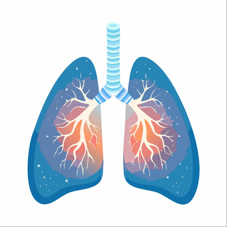An artistic illustration of human lungs isolated on a white background. The cool blue exterior contrasts with a warm, glowing interior, symbolizing the vital energy and life force of every breath.のイラスト素材