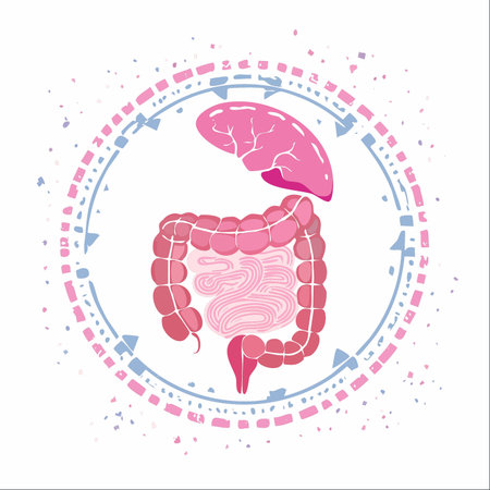 A stylized illustration representing the vital connection between the liver and intestines.のイラスト素材