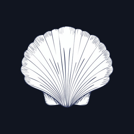 A beautifully detailed, hand-drawn illustration of a scallop shell, captured in a classic,...