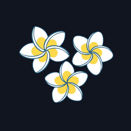 A simple and elegant illustration of three plumeria flowers, also known as frangipani. This clean, minimalist design evokes feelings of tranquility, tropical vacations, and spa-like relaxation.のイラスト素材