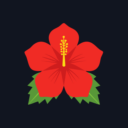 A vibrant red hibiscus flower blooms in a simple, elegant illustration.のイラスト素材