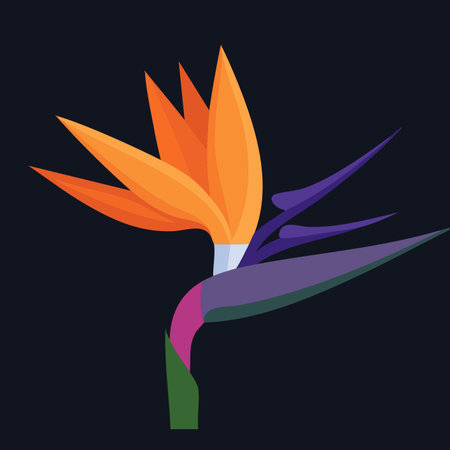 A stunning vector illustration of a Bird of Paradise flower, isolated on a white background.のイラスト素材