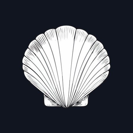 A beautifully detailed line art illustration of a scallop seashell, isolated on a clean white background.のイラスト素材