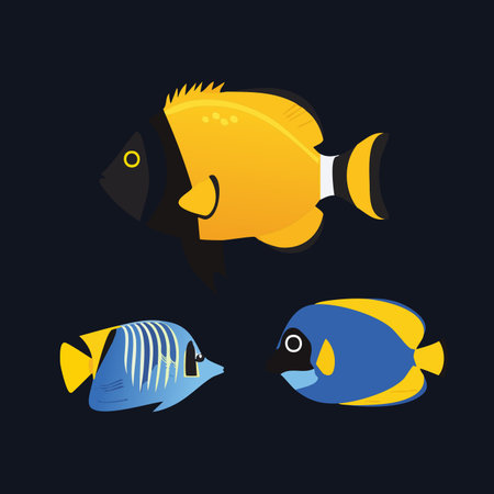 A vibrant collection of three stylized tropical fish isolated on a white background.のイラスト素材