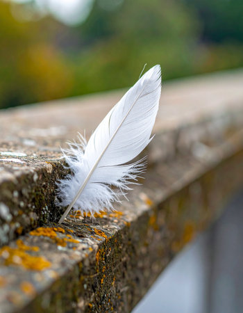 A single, delicate white feather rests gently on a weathered stone ledge, a soft symbol of lightness and fragility against a rough, textured surface.の素材