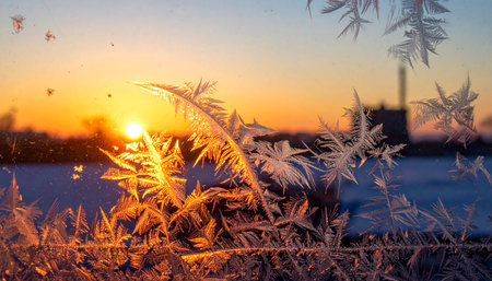 The first golden rays of a winter sunrise stream through a window, illuminating the intricate, feathery patterns of frost on the glass.の素材