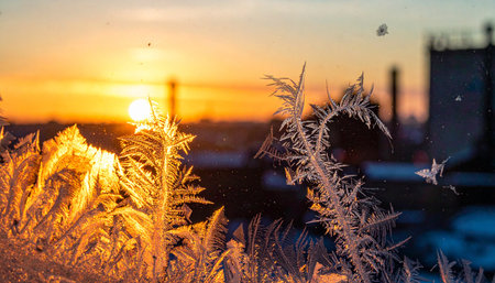 Intricate ice crystals bloom across a frozen window pane, catching the first golden rays of a winter sunrise.の素材