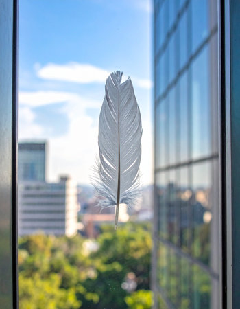 A single, delicate white feather clings to a high-rise window, a soft messenger from nature against the backdrop of a bustling, blurred cityscape.の素材