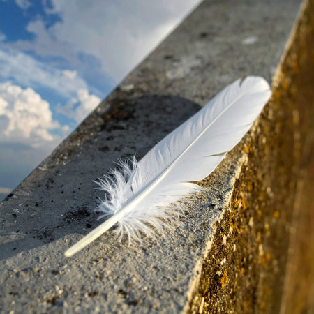 A single, delicate white feather rests on a rough concrete ledge, its soft texture contrasting with the hard surface.の素材