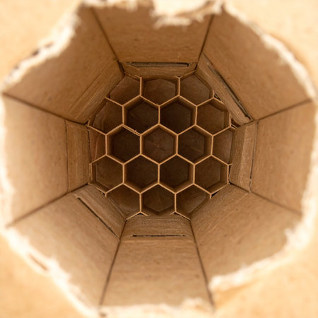 A look inside a complex cardboard structure reveals a perfectly symmetrical honeycomb core.の素材