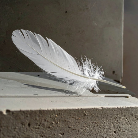 A single, delicate white feather lies in quiet repose on a rough, textured stone surface.の素材