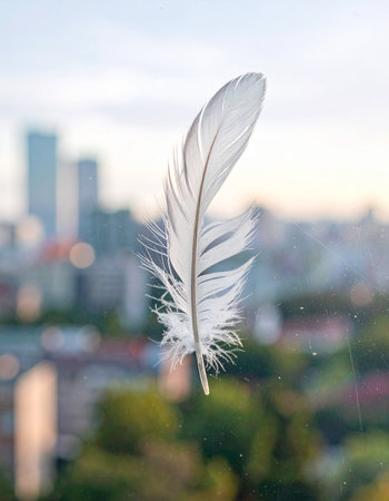 A single, delicate white feather is captured in a moment of stillness against the soft, blurred backdrop of a sprawling city.の素材