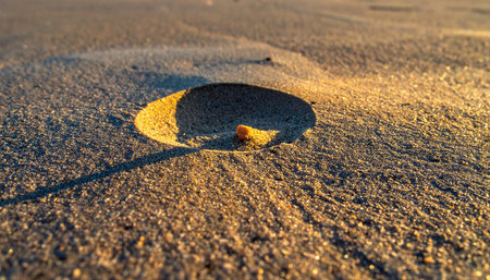 In the golden light of dawn, a forgotten piece of rusted metal decays in a dry, barren landscape.の素材