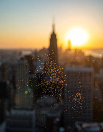 The setting sun casts a warm, golden glow over the city, transforming the iconic skyline into a dreamy, abstract landscape.の素材