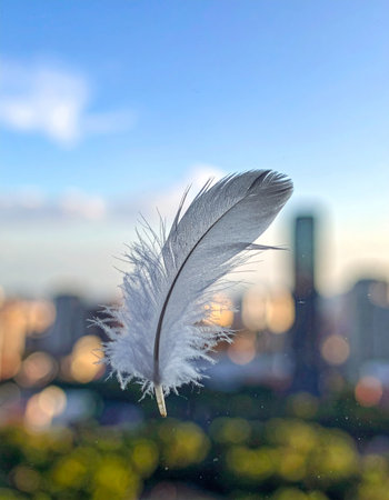 A single, delicate feather drifts gently on the breeze, a symbol of lightness and freedom suspended against the soft, blurred backdrop of a modern city skyline at dusk.の素材