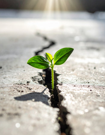 In an unforgiving urban landscape, a tiny green sprout demonstrates incredible resilience.の素材