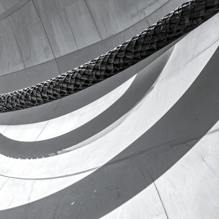 A black and white photograph capturing the powerful, flowing curves of modern architecture.の素材