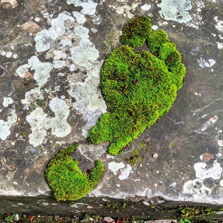 A single footprint made of vibrant green moss grows on an ancient stone, symbolizing a harmonious step towards a sustainable future.の素材