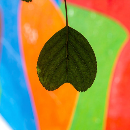 A single, dark green leaf hangs in perfect focus, its simple, natural form creating a striking silhouette against a vibrant, abstract explosion of color.の素材