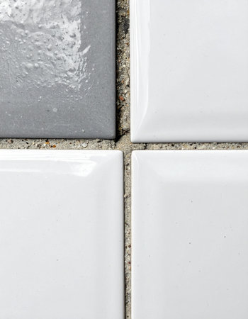 A detailed macro shot reveals the urgent need for home maintenance.の素材