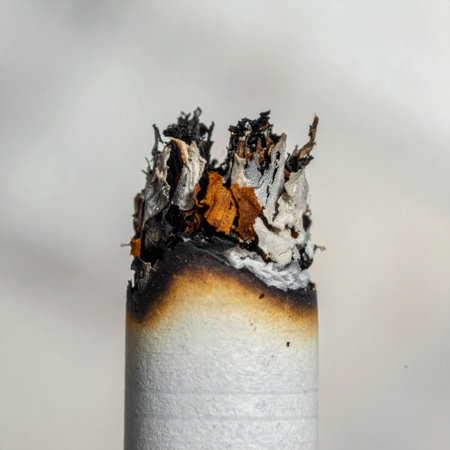 A detailed macro photograph captures the intricate texture of ash forming at the smoldering tip of a lit cigarette.の素材