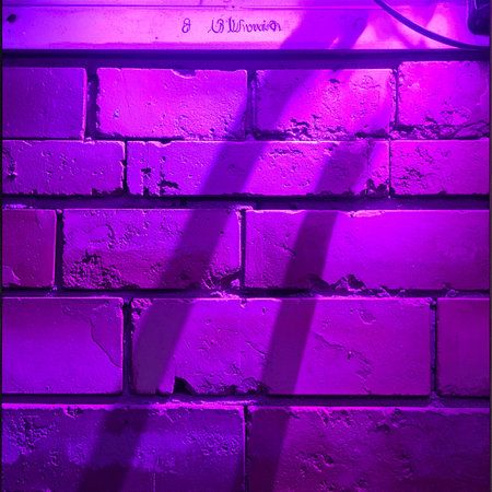 Shadows dance across a weathered brick wall, bathed in the vibrant, moody glow of purple neon light.の素材