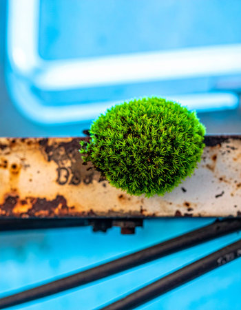 In a forgotten corner, a vibrant clump of green moss bursts forth from a decaying, rusted metal surface.の素材